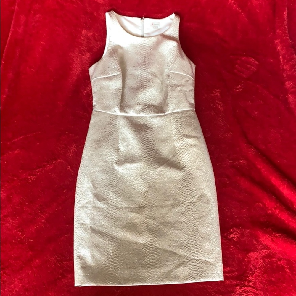Metallic Dress